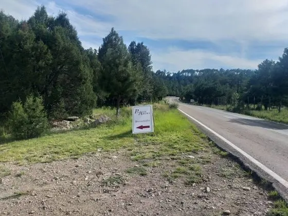Ortak Ranzalı Oda, 4 Yatak Odası, Balkon