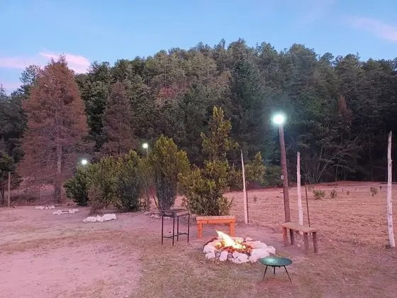 Ortak Ranzalı Oda, 4 Yatak Odası, Balkon