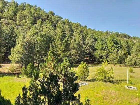 Ortak Ranzalı Oda, 4 Yatak Odası, Balkon