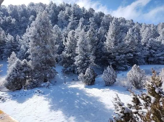 Ortak Ranzalı Oda, 4 Yatak Odası, Balkon