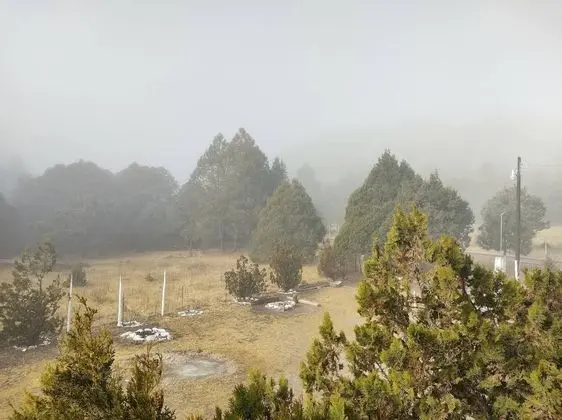Ortak Ranzalı Oda, 4 Yatak Odası, Balkon
