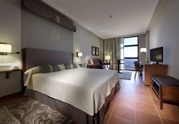 Standard Tek Büyük Yataklı Oda (with extra bed for adult)