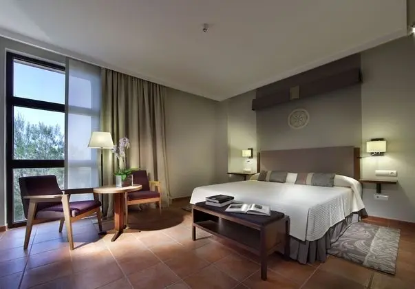 Standard Tek Büyük Yataklı Oda (with extra bed for adult)