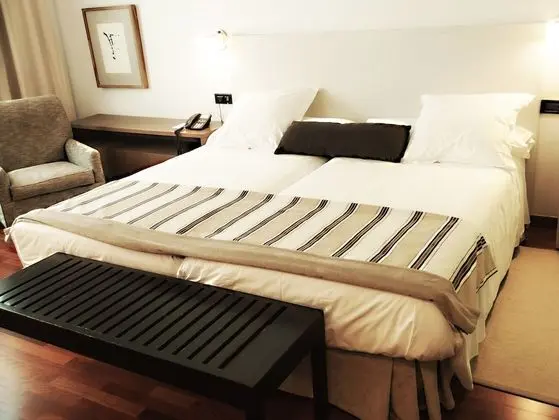 Superior Tek Büyük Yataklı Oda