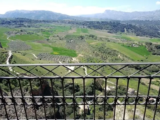 Superior İki Ayrı Yataklı Oda, 2 Tek Kişilik Yatak