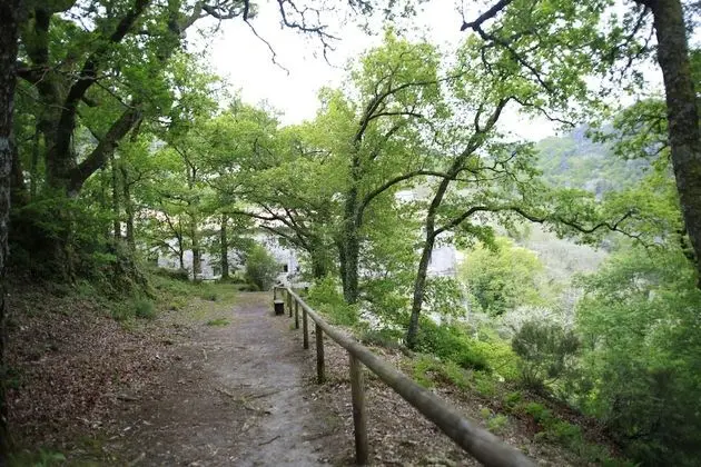 Superior İki Ayrı Yataklı Oda