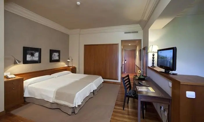 Standard Tek Büyük Yataklı Oda, Engellilere Uygun