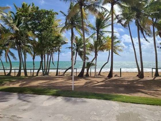 Standard Oda, 1 En Büyük (King) Boy Yatak