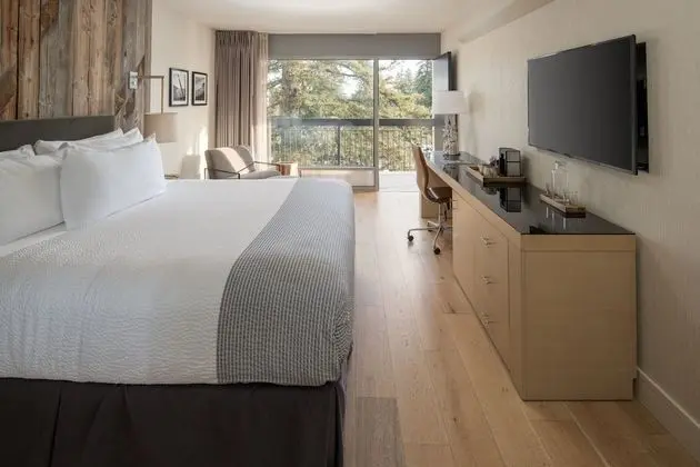 1 King Bed, Pool View