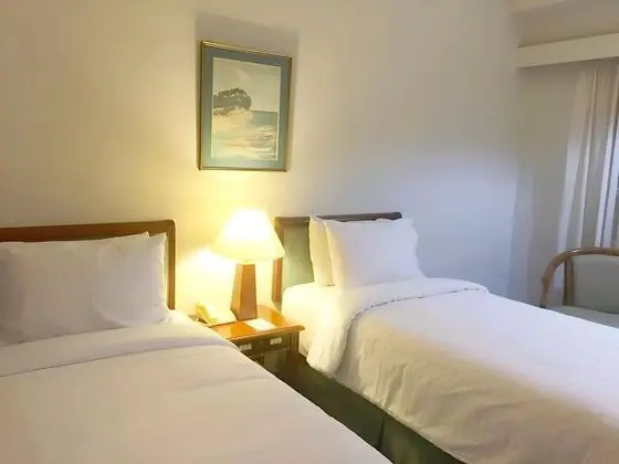 Deluxe İki Ayrı Yataklı Oda (Room Only)