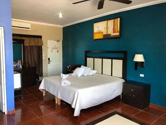 Superior Stüdyo, 1 En Büyük (King) Boy Yatak, Avlu Manzaralı