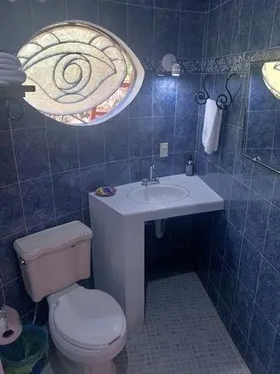 Romantic Oda, Dağ Manzaralı (Flor de liz  #2)