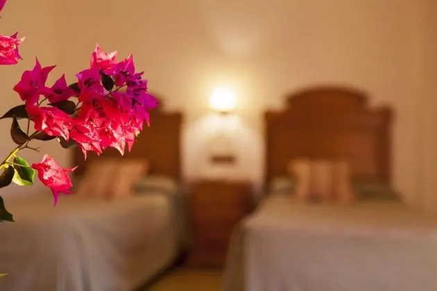 Standard Tek Büyük Yataklı Oda, Vadi Manzaralı