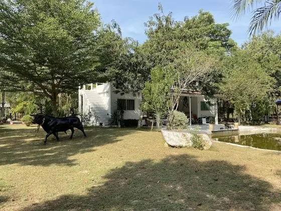 Ev, 2 Yatak Odası, Tepe Manzaralı, Asma Kat