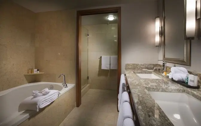 Çatı Katı Süiti (Penthouse), Şehir Manzaralı