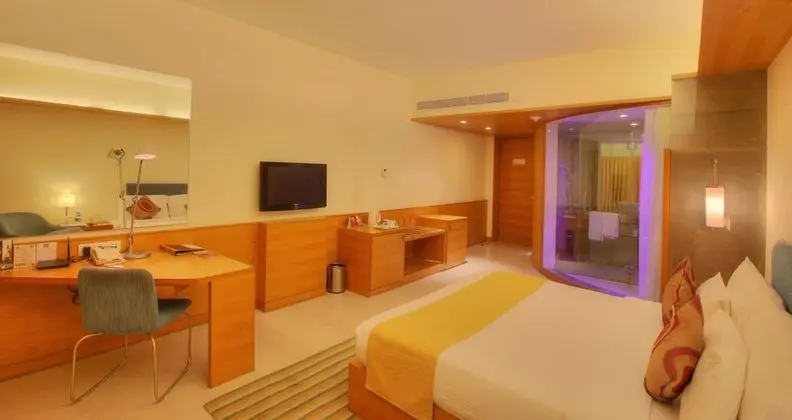 Deluxe Oda, 1 Çift Kişilik Yatak