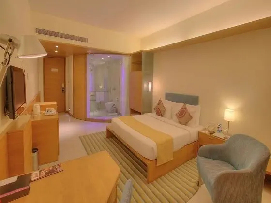 Deluxe Oda, 1 Çift Kişilik Yatak
