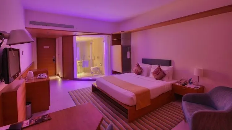 Deluxe Oda, 1 Çift Kişilik Yatak