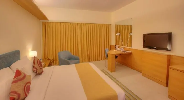 Deluxe Oda, 1 Çift Kişilik Yatak