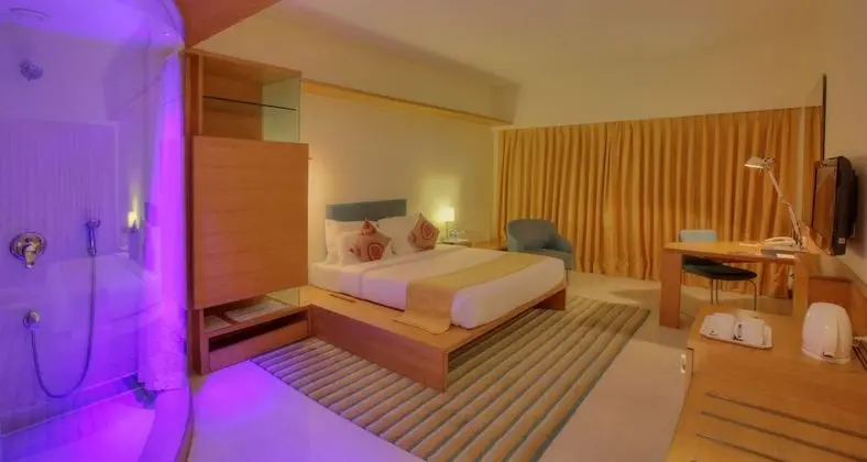 Deluxe Oda, 1 Çift Kişilik Yatak