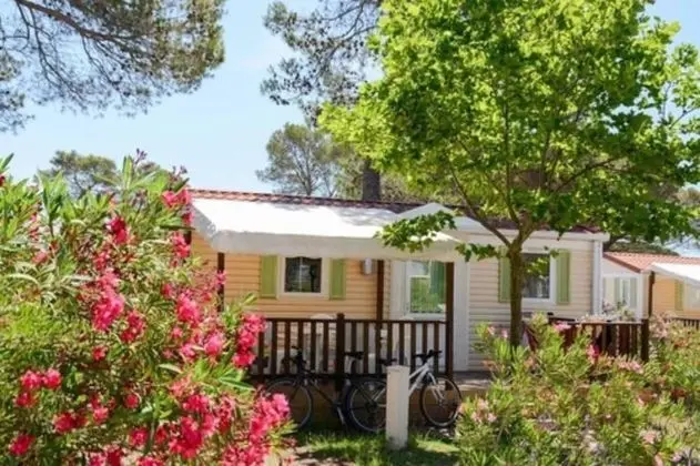 Superior Bungalov