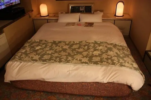Standard Tek Büyük Yataklı Oda, Sigara İçilebilir (Love Hotel)
