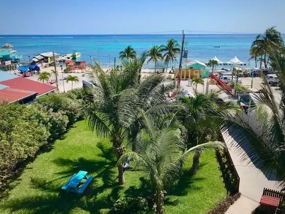 Deluxe Apart Daire, 1 Yatak Odası, Balkon, Okyanus Manzaralı