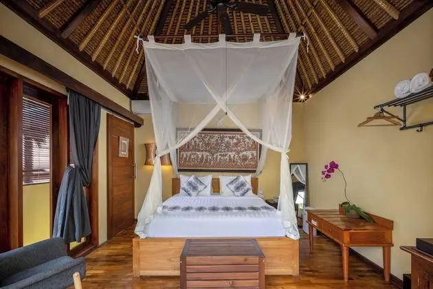 Forest Labyrinth Room