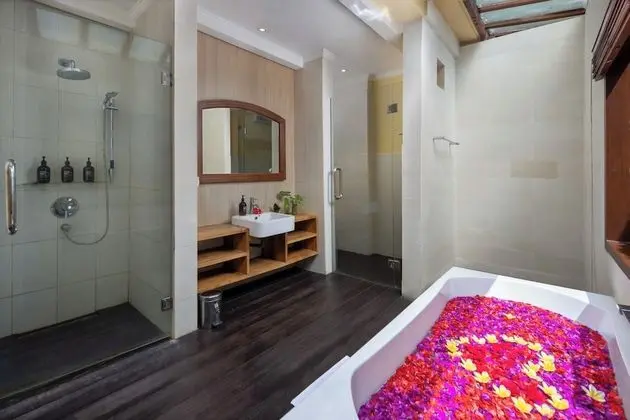 Forest Labyrinth Room