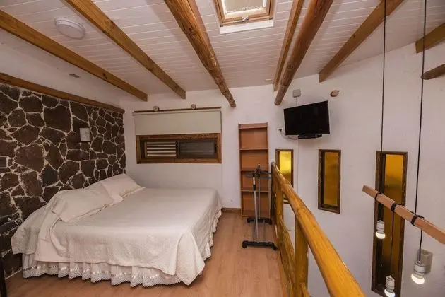 Superior Oda, 1 Yatak Odası, Sigara İçilmez, Özel Banyo