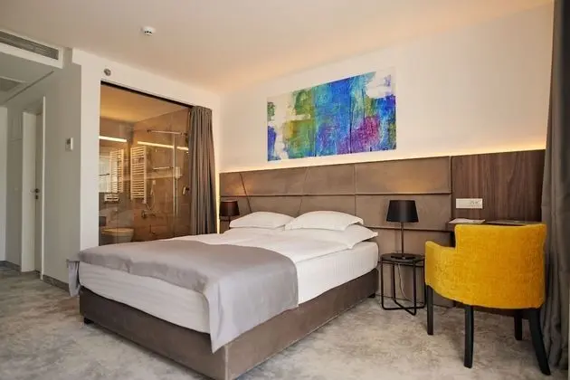 Standard Tek Büyük Yataklı Oda, Park Manzaralı