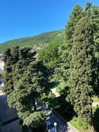 Standard Tek Büyük Yataklı Oda, Park Manzaralı