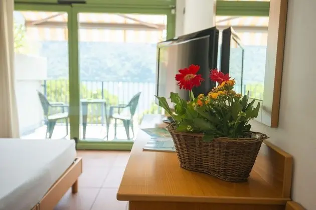 Superior Tek Büyük Yataklı Oda, Göl Manzaralı