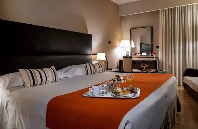 Superior Tek Büyük Yataklı Oda