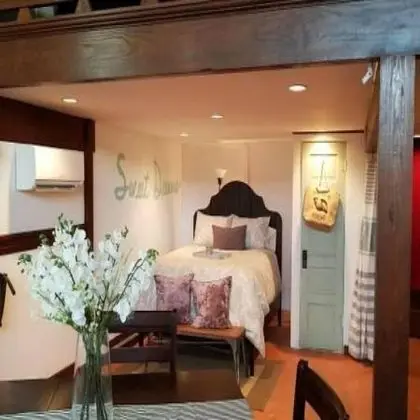 Business Çatı Katı (Loft), Birden Çok Yatak, Park Manzaralı, Zemin Kat