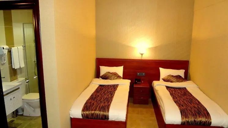 Standard İki Ayrı Yataklı Oda, Şehir Manzaralı