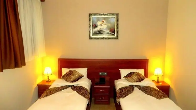 Standard İki Ayrı Yataklı Oda, Şehir Manzaralı