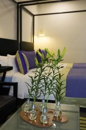 Deluxe Oda, Sigara İçilmez, Şehir Manzaralı