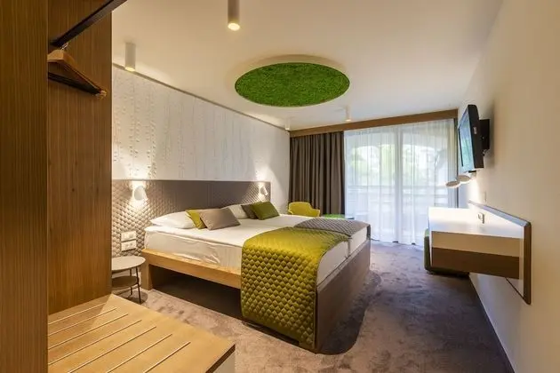 Tek Büyük Yataklı Oda, Balkon, Park Manzaralı