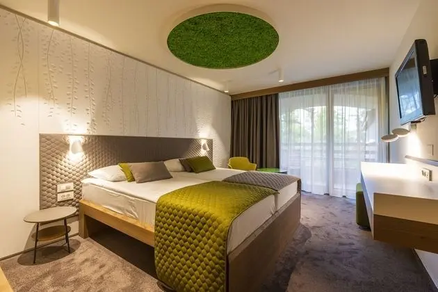 Tek Büyük Yataklı Oda, Balkon, Park Manzaralı