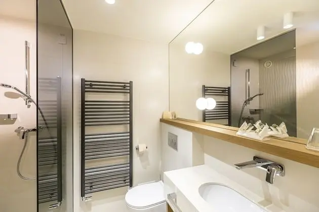 Tek Büyük Yataklı Oda, Balkon, Park Manzaralı