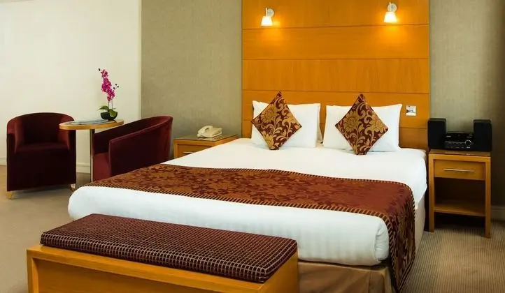 Deluxe Tek Büyük Yataklı Oda