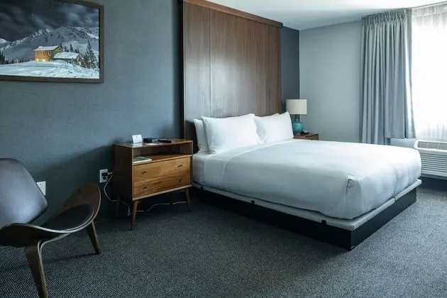 Standard Room, 1 King Bed (No Pets)