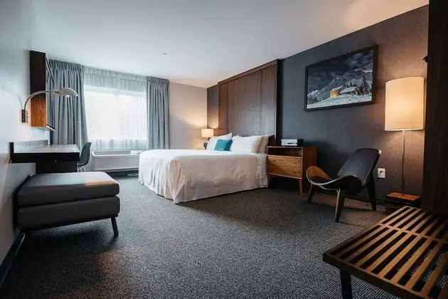 Standard Room, 1 King Bed (No Pets)