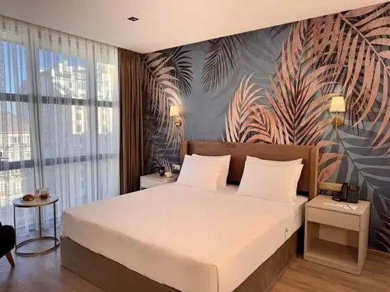 Deluxe French Oda Sehir Manzarali