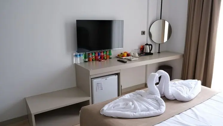 Standart Oda - Dağ Manzaralı