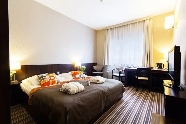 Executive Tek Büyük Yataklı Oda