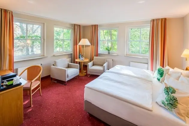 Deluxe Tek Büyük Yataklı Oda, Sigara İçilmez