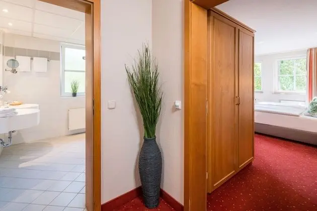 Deluxe Tek Büyük Yataklı Oda, Sigara İçilmez