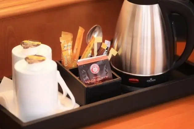 Family Oda, 1 En Büyük (King) Boy Yatak ve Çekyat, Sigara İçilmez, Park Manzaralı